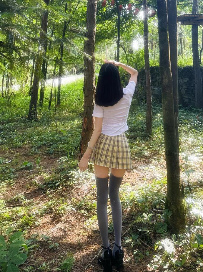山海情 封面